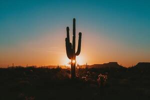 A Saguaro Cactus Stands in the Desert at Sunset with a Scenic Background photo