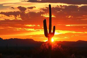 A Cactus in the Desert with a Scenic Background photo