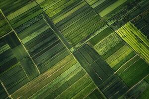 Aerial View of Green Fields Background photo