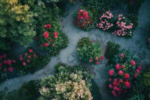 An Aerial View of a Garden with Flowers Background photo