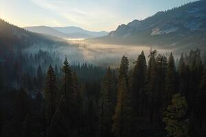 a view of the mountains and trees with fog in the morning background photo