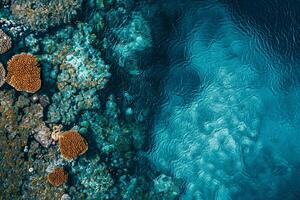 an aerial view of a coral reef with water and rocks background photo