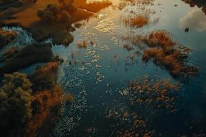an aerial view of a river and grasses background photo