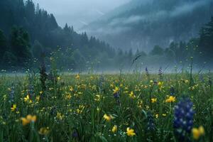 a field of wildflowers in the mountains with fog background photo