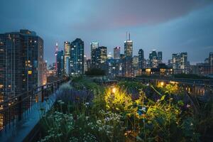 a view of the city skyline at night with flowers and plants background photo