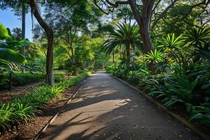 a paved path surrounded by trees and plants with background photo