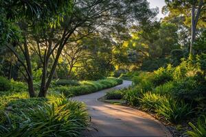 a paved path surrounded by trees and plants with background photo