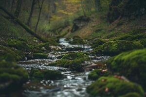 a stream running through a forest with mossy rocks background photo