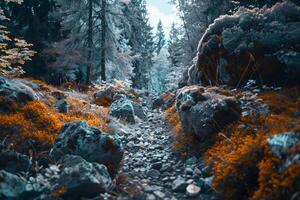 an infrared image of a forest with rocks and trees background photo