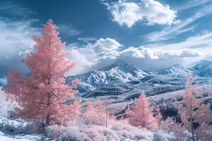 pink trees in the snow with mountains in the background background photo