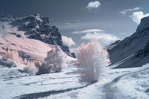 a snowy mountain road with trees and snow background photo