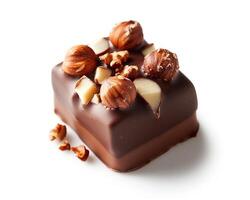 a chocolate covered piece of candy with nuts photo
