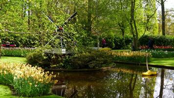 Reservoir and territory in Keukenhof Park Netherlands video