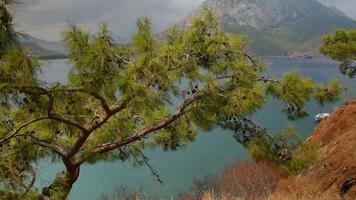 Panoramic view of the mountains, sea and beauty of Adrasan Antalya, Turkey video