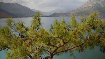 Panoramic view of the mountains, sea and beauty of Adrasan Antalya, Turkey video