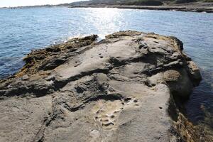 rocky seaside in Cyprus photo