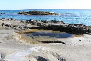 rocky seaside in Cyprus photo