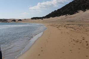 rocky seaside in Cyprus photo