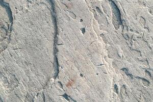 The texture of the gray plaster is textured close-up photo