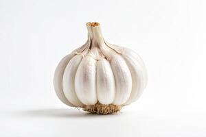Single Garlic Bulb on White Background photo