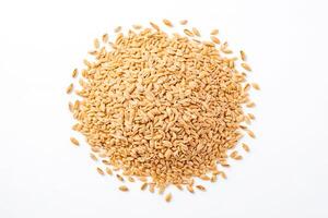 Wheat Grains on White Background photo
