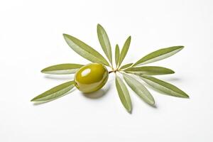 Single Olive with Green Leaves on White Background photo