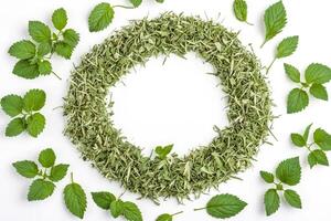 Green herb frame with copy space photo