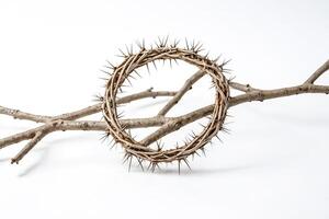 Crown of Thorns with Branch on White Background photo