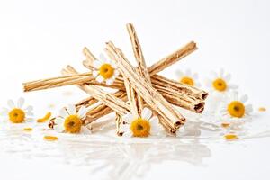 Chamomile and dried twigs on a white background photo