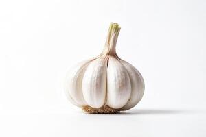 Single Garlic Bulb Isolated on White Background photo
