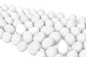 White Eggs with Gray Lines on a White Background photo