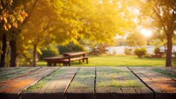 Wooden Table in a Sunny Forest Setting photo