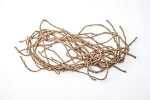 Tangled Brown Twigs on White Background photo