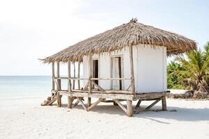 Rustic Beach Hut on a Tropical Island photo