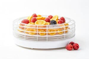 Fruit Dehydrator with Raspberries and Lemon Slices photo