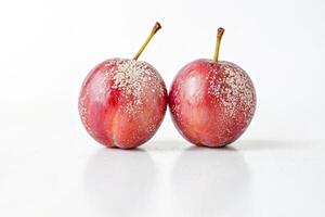Two Red Plums with White Frosting on a White Background photo