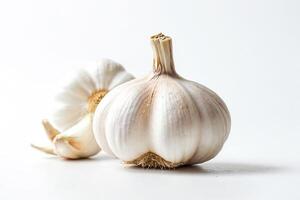 Garlic bulb and clove isolated on white background photo