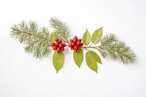 Sprig of Green Leaves with Red Berries on White Background photo