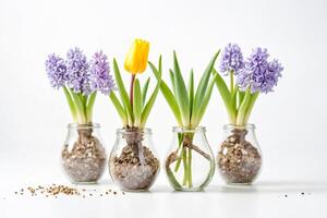 Spring Flowers in Glass Bottles photo