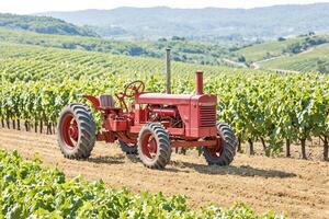 Red Tractor in a Vineyard photo