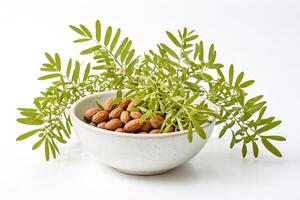 Green Leaves and Brown Nuts in a White Bowl photo