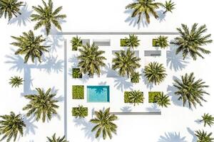 Aerial View of a Tropical Resort with Palm Trees and Pool photo