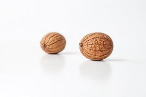 Two Whole Walnuts on a White Background photo