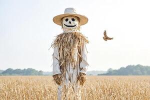 Scary Scarecrow In A Field photo