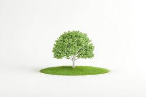 Small Green Tree on a Patch of Grass on a White Background photo