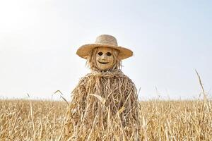 Straw Scarecrow in a Field photo
