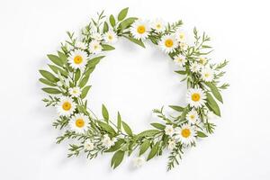 Daisy Wreath on white background photo