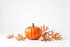 Single Orange Pumpkin with Autumn Leaves on White Background photo