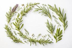 Fresh Herbs Arranged in a Circle on White Background photo