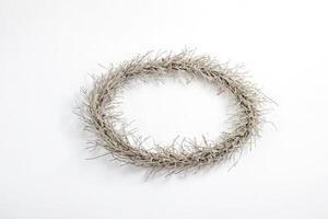Minimalist Wreath of Dried Twigs on White Background photo